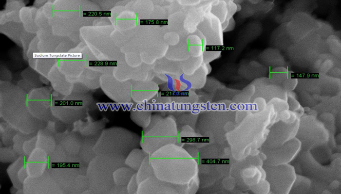 Nano Tungsten Trioxide SEM