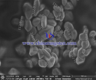 Nano Tungsten Trioxide SEM Picture
