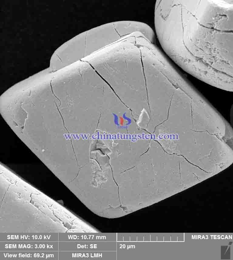 Orange Tungsten Oxide SEM